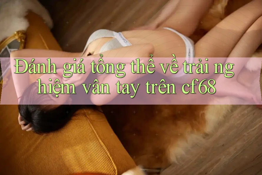 Đánh giá tổng thể về trải nghiệm vân tay trên cf68 Đánh giá tổng thể về trải nghiệm vân tay trên cf68